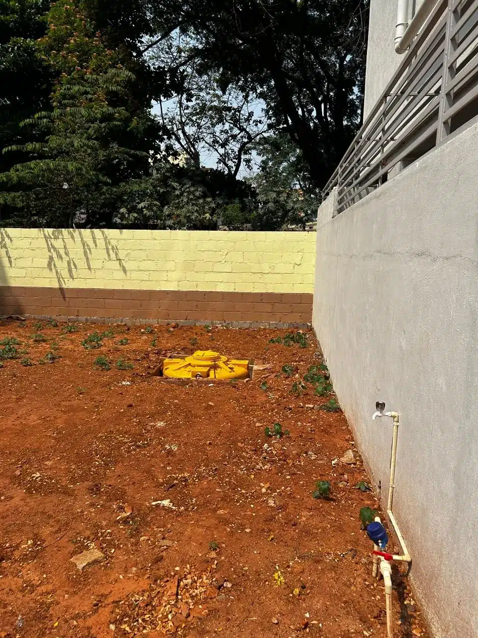 WhatsApp Image 2025-05-20 at 11.29.48 AM