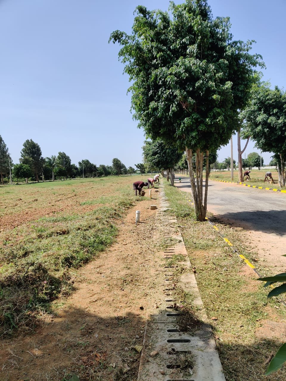 WhatsApp Image 2025-06-26 at 1.07.48 PM (1)