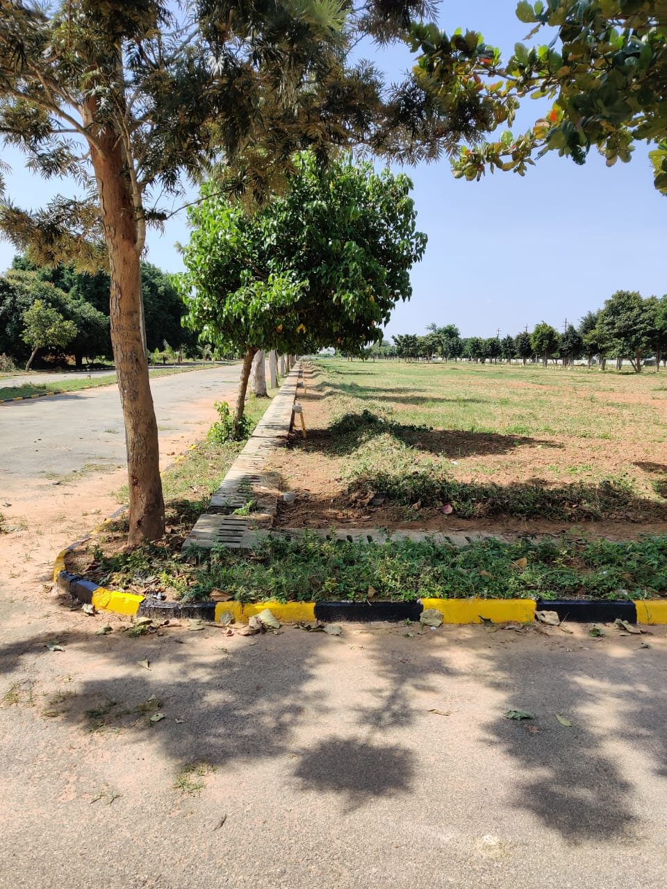 WhatsApp Image 2025-06-26 at 1.07.49 PM (1)