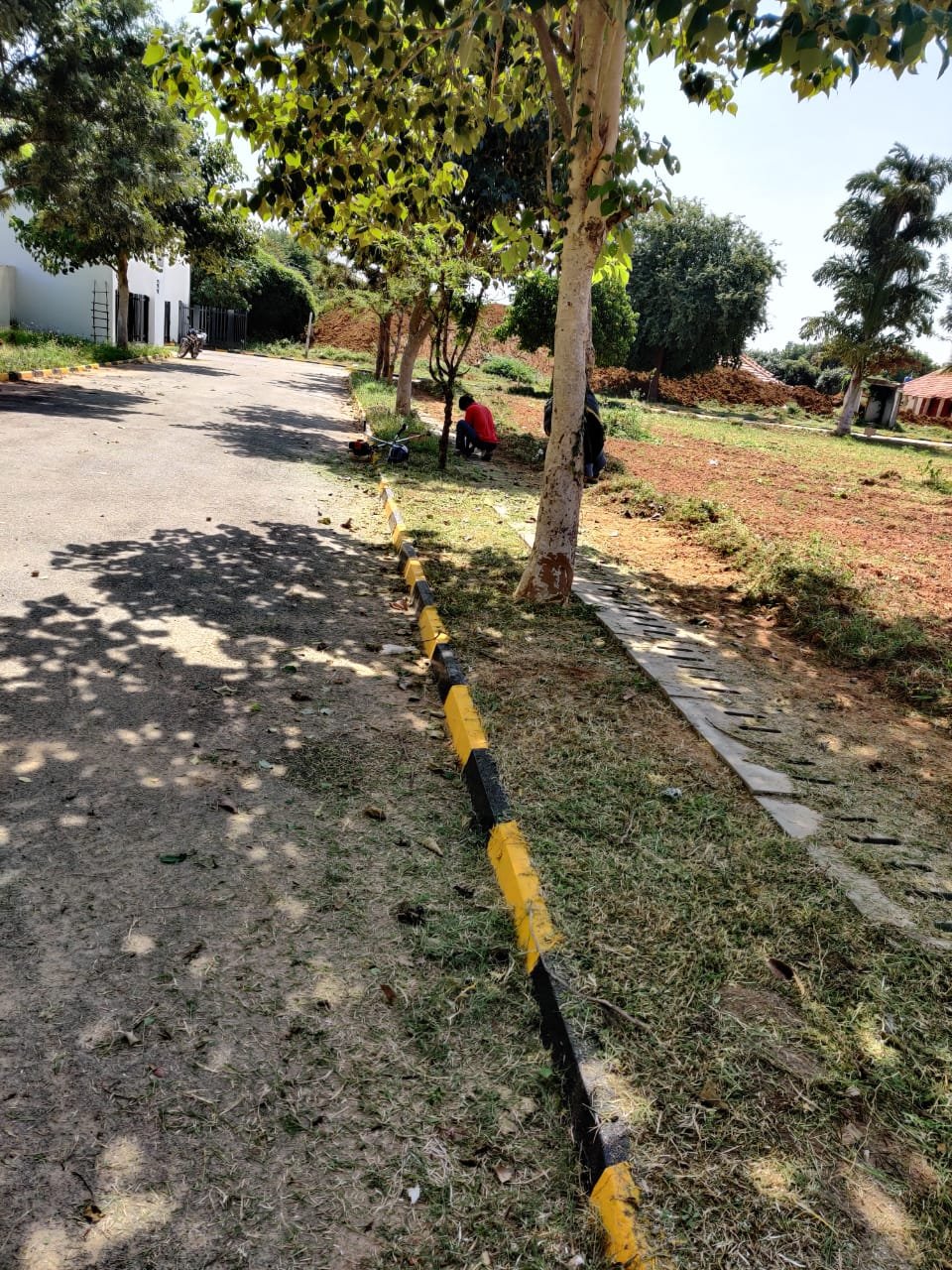 WhatsApp Image 2025-06-26 at 1.07.49 PM