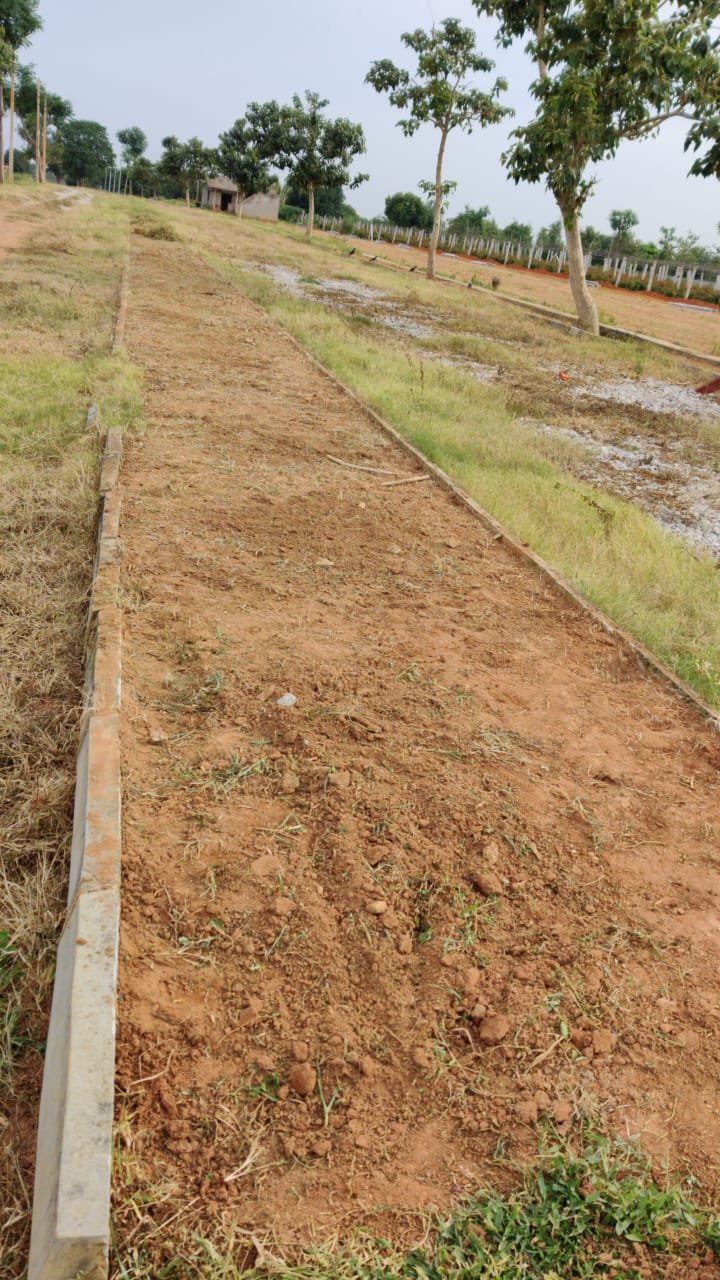 WhatsApp Image 2025-06-26 at 1.07.50 PM