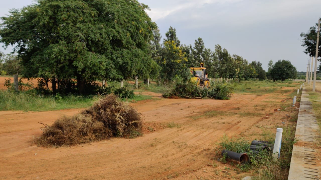 WhatsApp Image 2025-06-26 at 1.07.51 PM (3)