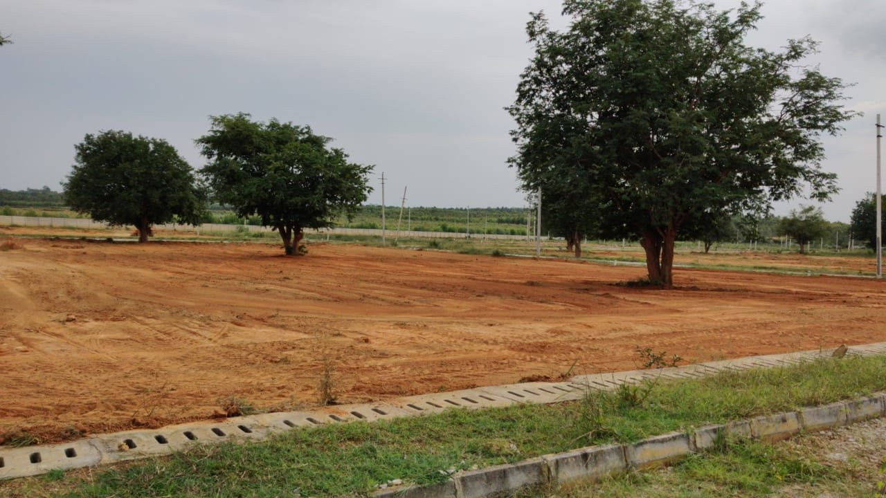 WhatsApp Image 2025-06-26 at 1.07.51 PM