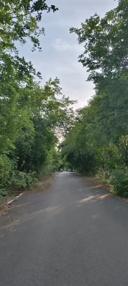 bcchs layout kanakapura road image 3
