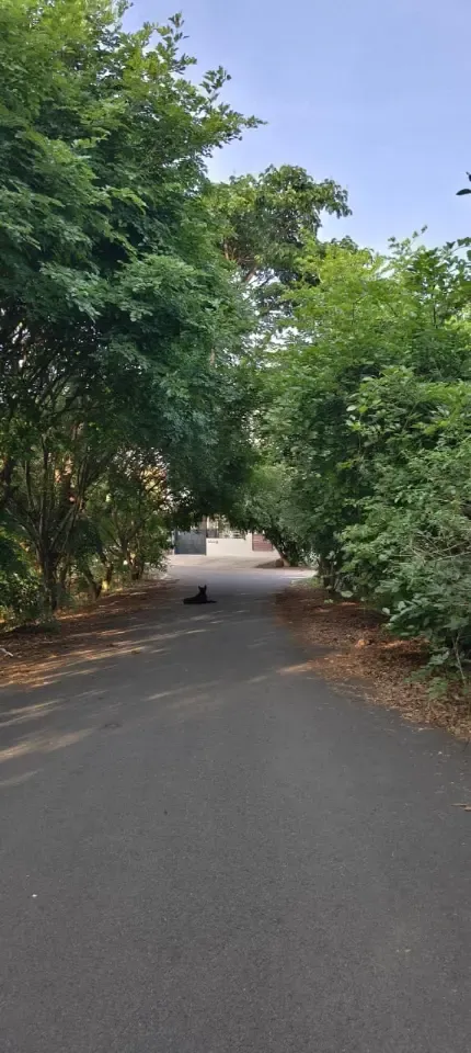 bcchs layout kanakapura road image 4 bcchs layout kanakapura road image
